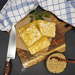 Four Taste Bio Tempeh Classic 4x1kg 